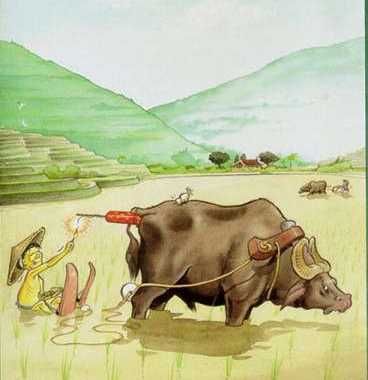 1143720111 6 FT848 Waterski9