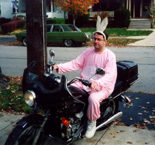 1144658834 1 FT848 Bunny