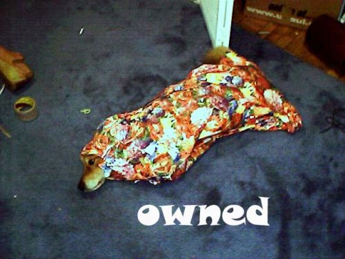 1148986274 26 FT848 1148918749365 