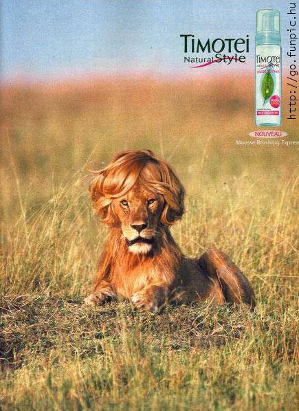 1151575912 141 FT848 222624 3