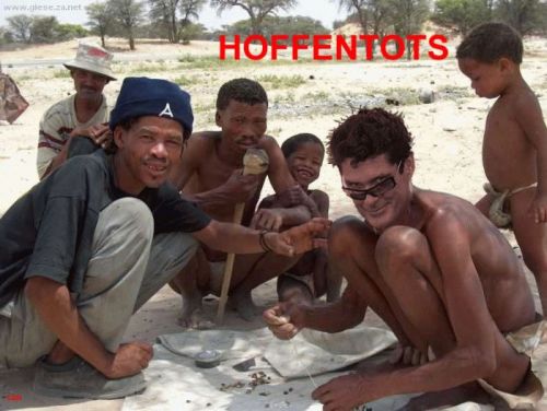 1153466352 6 FT848 Hoff Lrg 257 