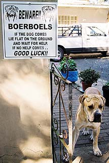 1154676610 23 FT848 Big8