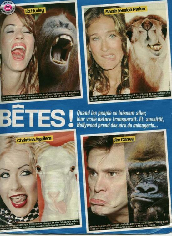 1160256649 23 FT848 Celebrite 