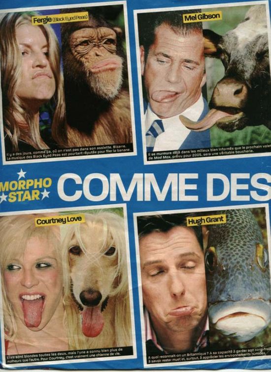 1160256649 23 FT848 Celebrite 2 