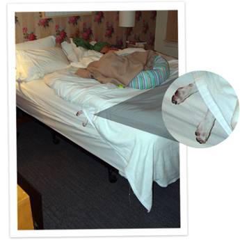 1161269688 102 FT848 Image019