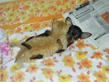 1161269774 102 FT848 Image027