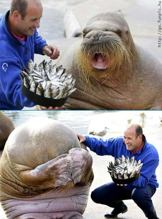 1162802784 141 FT848 Ty 