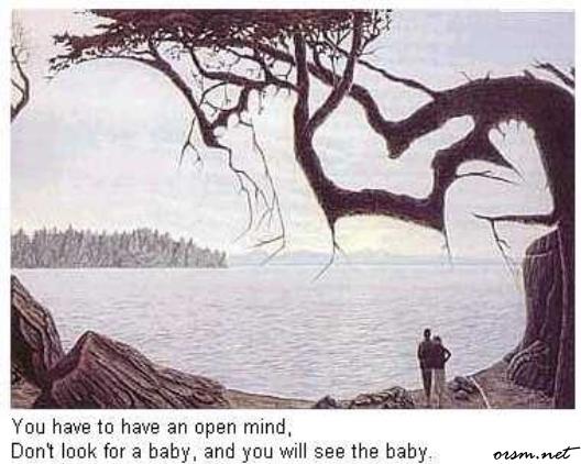 1164719646 102 FT848 Baby112