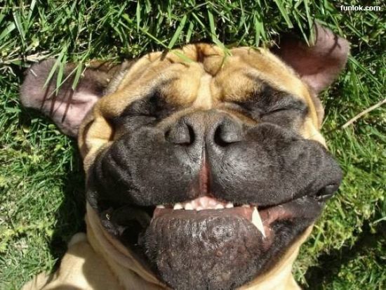 1165573981 141 FT848 2itiq13 