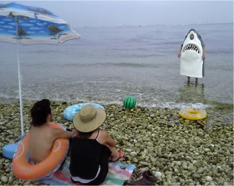 1165738949 242 FT848 379shark