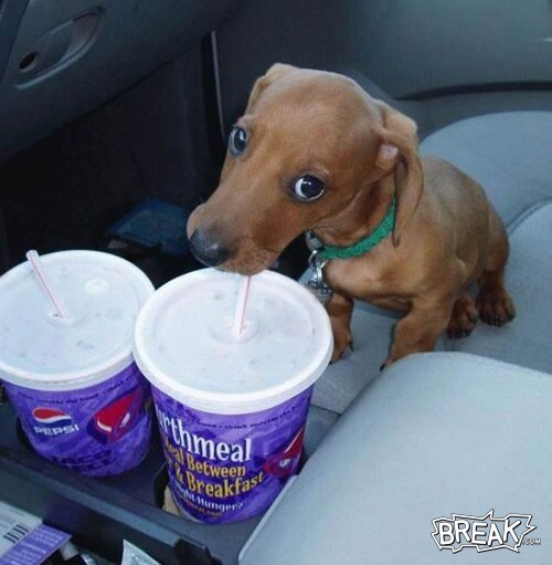 1165739142 242 FT848 Octeigh29