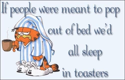 1170432898 217 FT848 1676811627a1687185452b705438207l