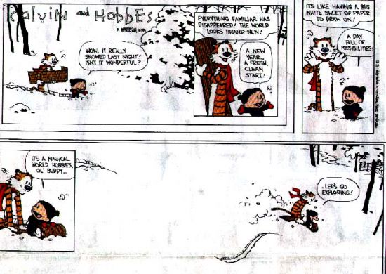 1171783371 242 FT848 Calvin Hobbes 