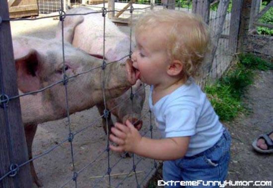 1171898097 242 FT848 Kisspiggy 