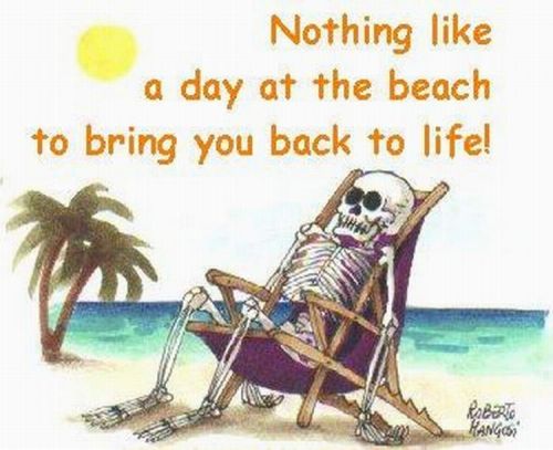 1173297162 23 FT848 Backto2 