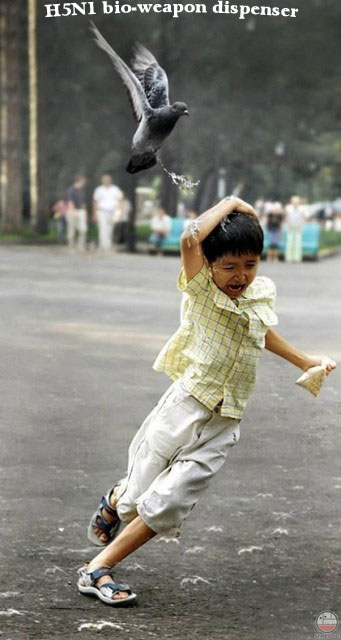 1179924182 308 FT848 Pigeonpoop2dk2