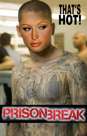 1181801815 102 FT848 Paris Hiltonpb