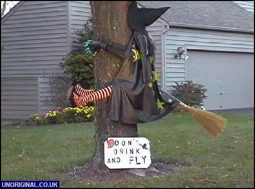 1181899408 167 FT848 Miscflying