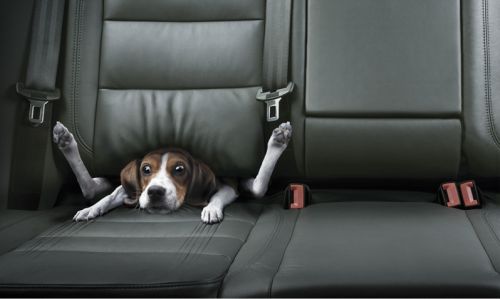 1182150792 102 FT848 Back Seat 171 