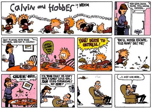 1182338667 167 FT848 Calvin Hobbes Comics 40 