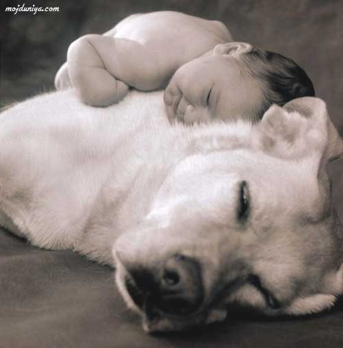 1183029727 167 FT848 Babies 33