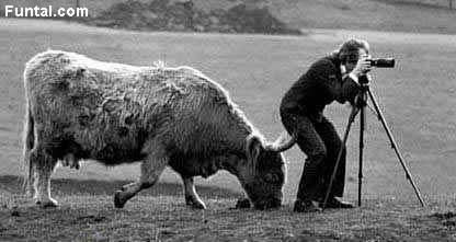 1183364377 167 FT848 Funny Photos 22