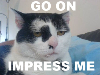 1184043550 7 FT848 Cat44