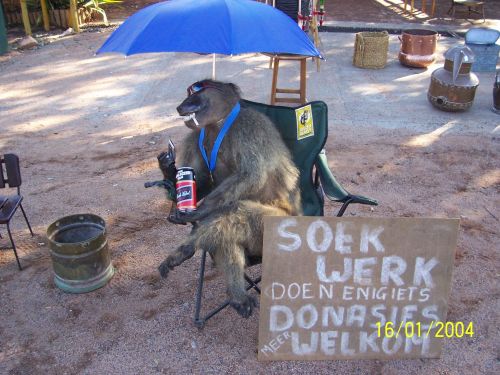 1184044683 102 FT848 Picture374 