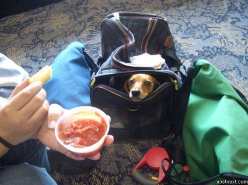 1186121121 102 FT848 Wait4me