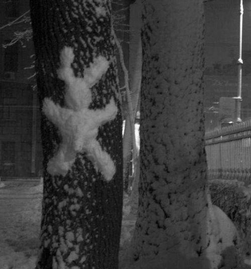 1186555544 167 FT848 Collection Photospodborka 12 