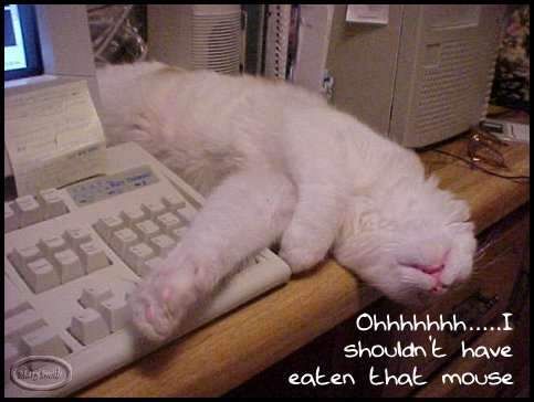 1187944055 141 FT848 10