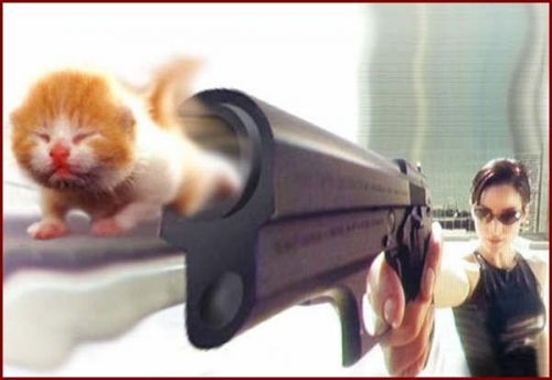 1191310325 167 FT848 11 Podborka 35 