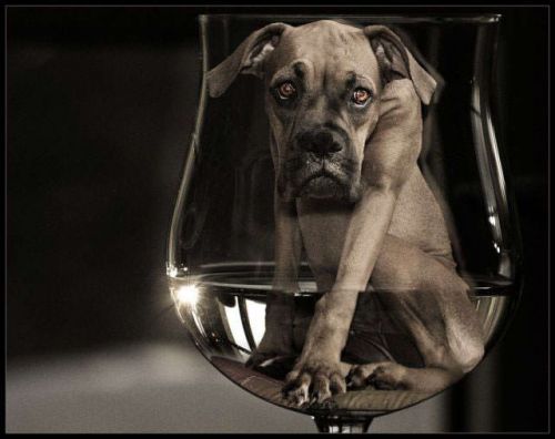 1191950080 167 FT45965 By Frank Melechfrank Melech 9 