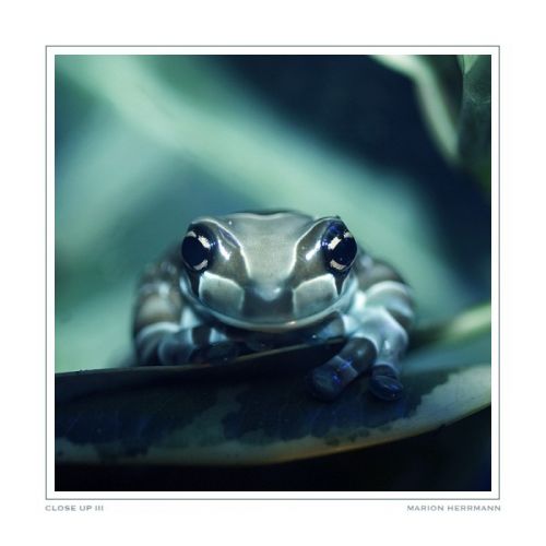 1192422937 167 FT45965 Collection Of Photographs04 Podborka 48 