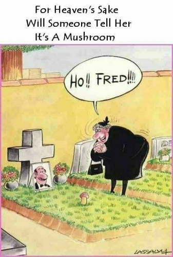 1192430356 167 FT848 01awcaxzaj Rcaaaabaaaaaaaaaaa 