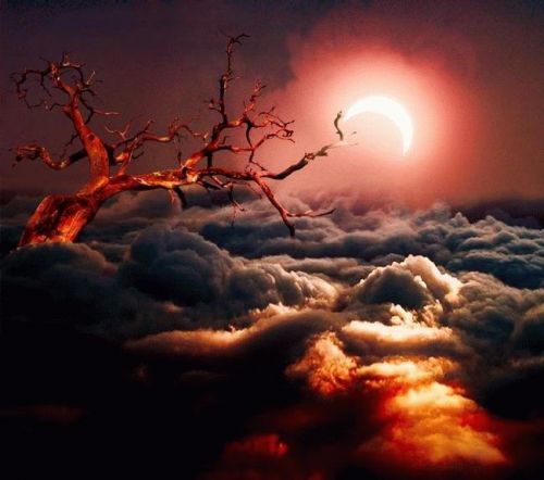 1192551200 167 FT45965 Collection Of Photographs24 Podborka 8 