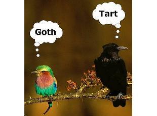 1192635027 167 FT848 Untitled