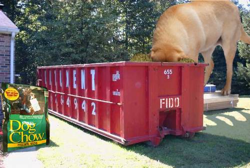 1192644429 24 FT45965 Giant Dog