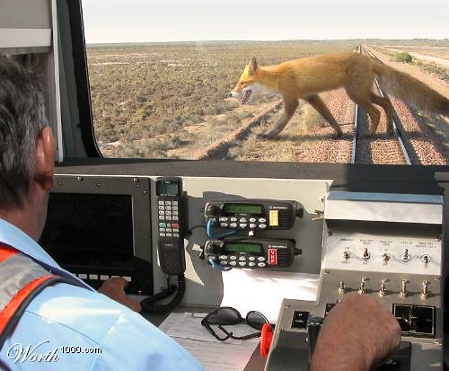 1192644429 24 FT45965 Giant Fox