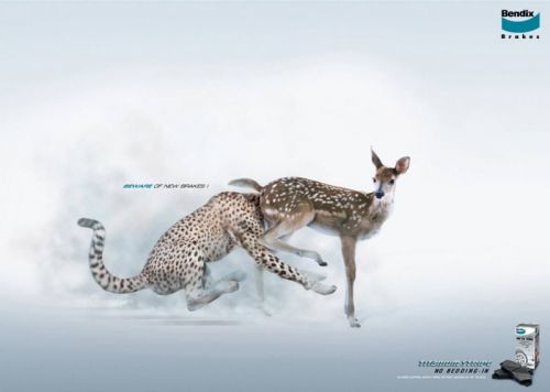 1193077830 167 FT848 Collection Of Photographscool Ads 28 