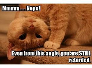 1193160071 167 FT848 Untitled