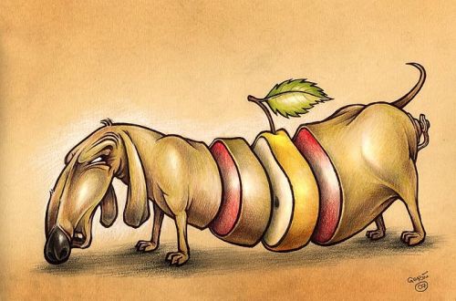 1197486487 167 FT45965 Funny Pictures9 