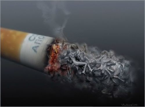 1200905573 167 FT45965 Collection Of Photos21 Podborka 50 