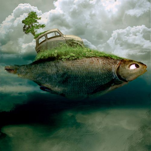 1200911390 167 FT45965 By Admivadmivi Works 14 