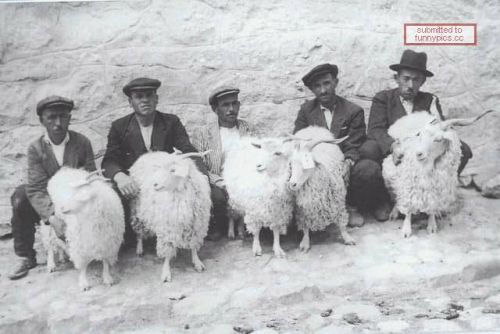 1202904004 167 FT848 1079556173 