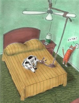 1203946078 167 FT848 Funnytoons2