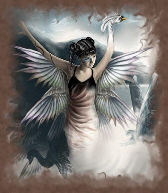 1206355833 167 FT45965 Artisticmain