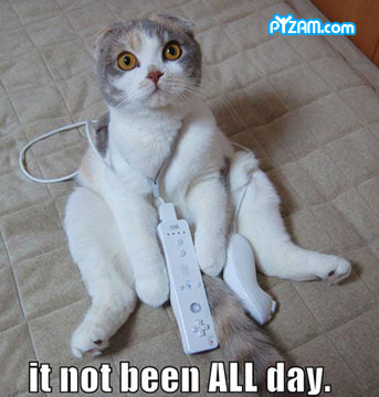 1212525080 242 FT848 Pyzamwiicat