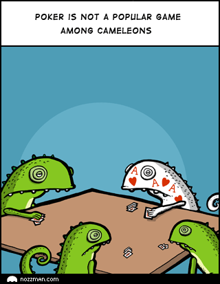 1221038631 141 FT848 Image001