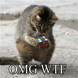 1221202633 141 FT848 Image001